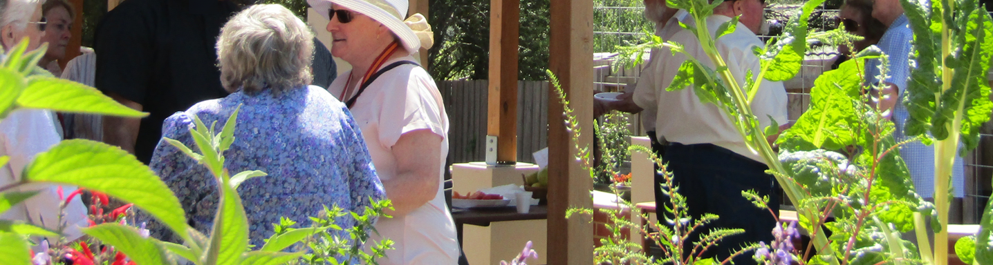 Garden open day smaller half