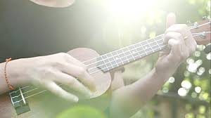 ukulele
